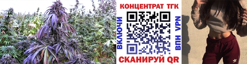ТГК THC oil  Купить  Нефтеюганск 